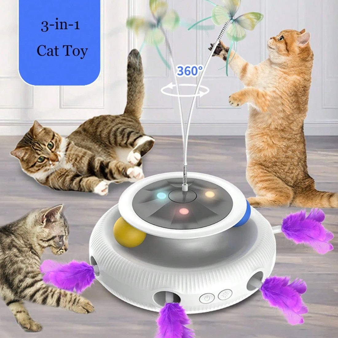 d91fe8080146ba41e57447f22dca5d9c
